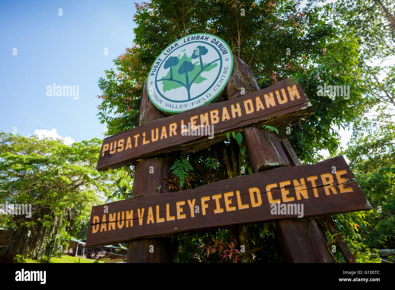 Danum Valley Conservation Area, Sabah, Bornéo Malaisien. La forêt ancienne naturel est sous haute protection de deforest Banque D'Images