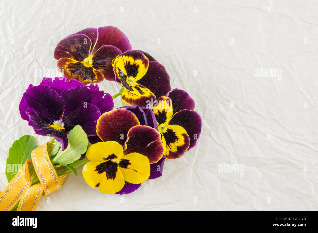 Des fleurs violettes bouquet sur tissu blanc Banque D'Images