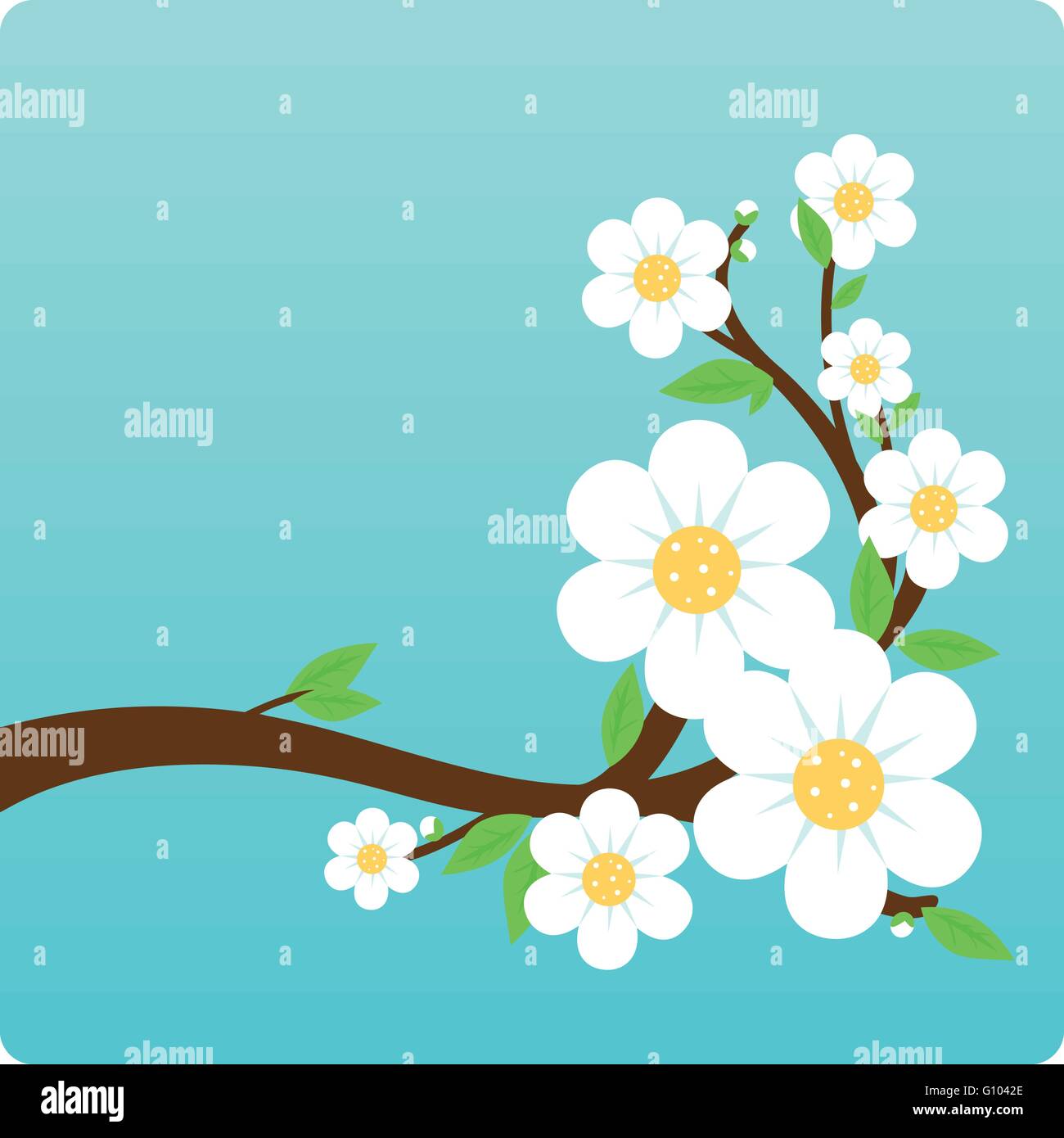 Fond de branche d'arbre en fleurs. Arbre printanier avec des fleurs blanches. Illustration vectorielle Illustration de Vecteur