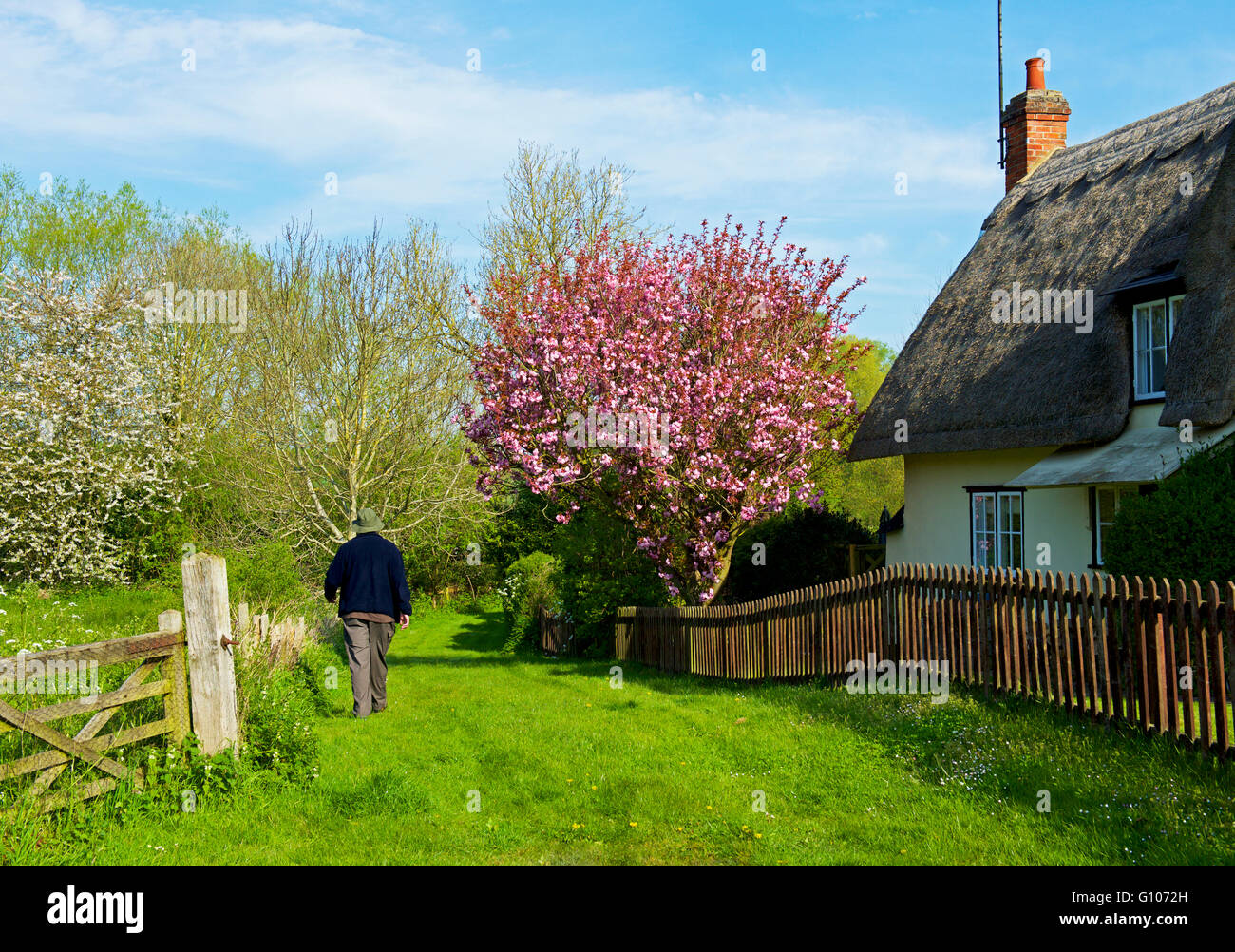 Man Walking down sentier public dans le village de Finchingfield, Essex, Angleterre, Royaume-Uni Banque D'Images