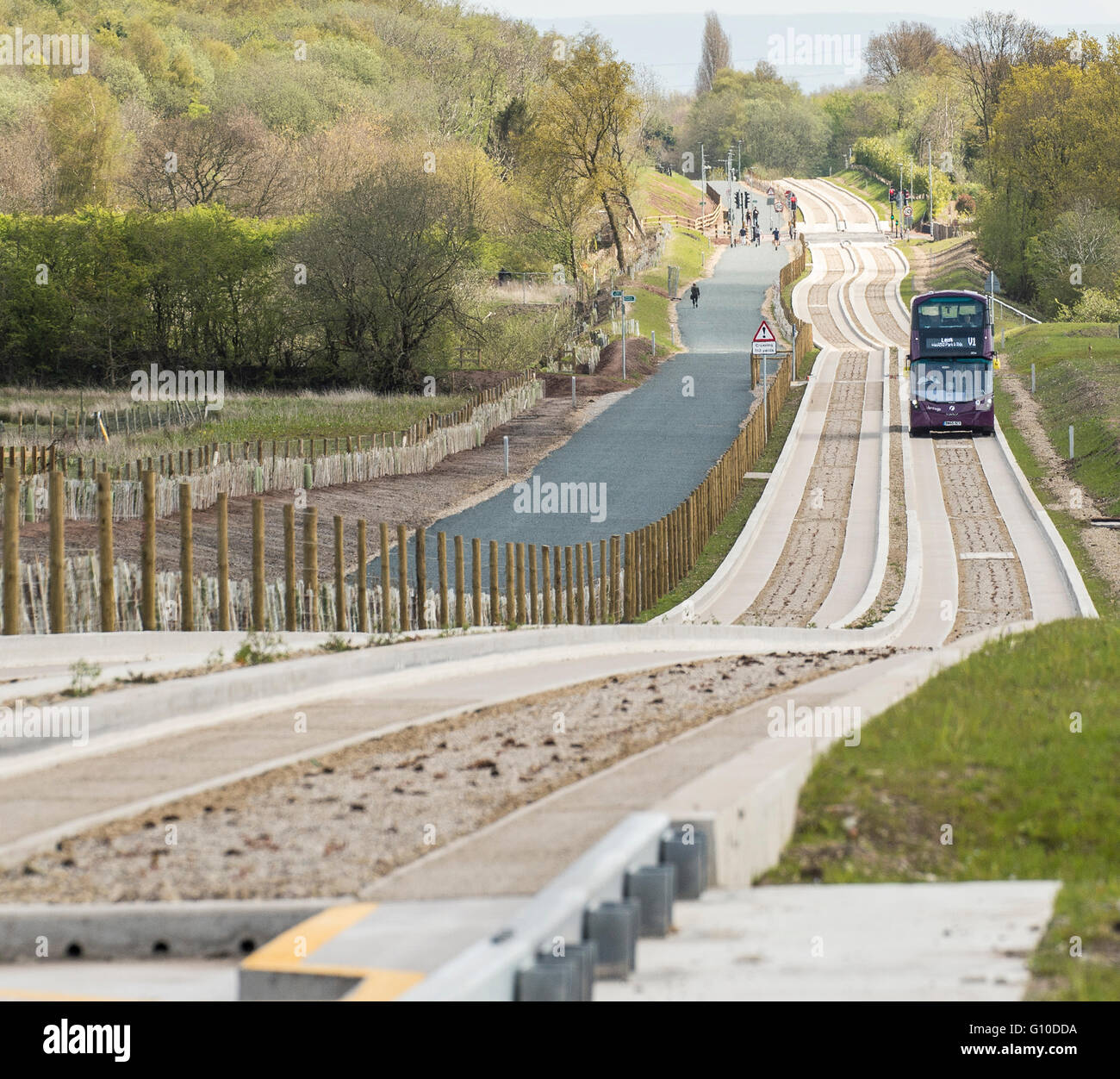 L'approche sur les nouveaux bus mauve busway dédié, Green grass point, béton busway guidé, piétons, dogwalker Banque D'Images