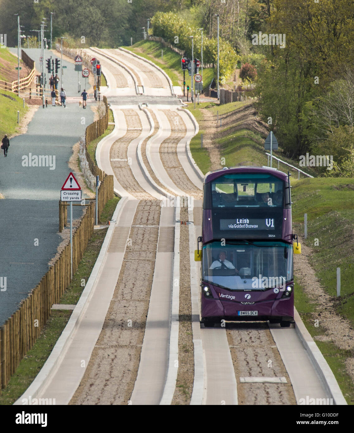 L'approche sur les nouveaux bus mauve busway dédié, Green grass point, béton busway guidé, piétons, dogwalker Banque D'Images