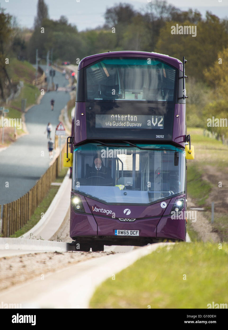 Sur les nouveaux bus mauve busway guidé conducteur et les passagers visible Banque D'Images