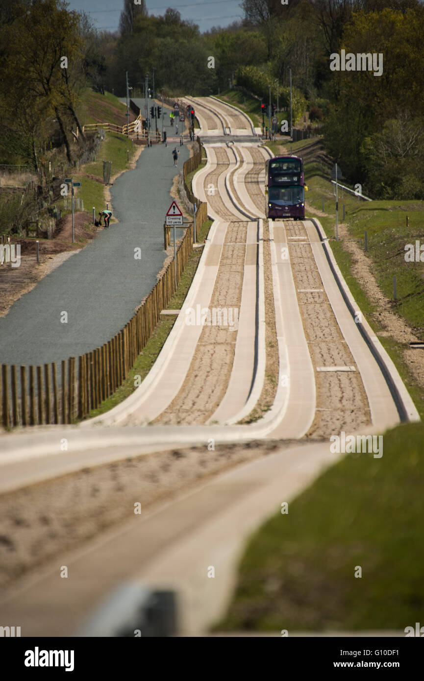 L'approche sur les nouveaux bus mauve busway dédié, Green grass point, béton busway guidé, piétons, dogwalker Banque D'Images