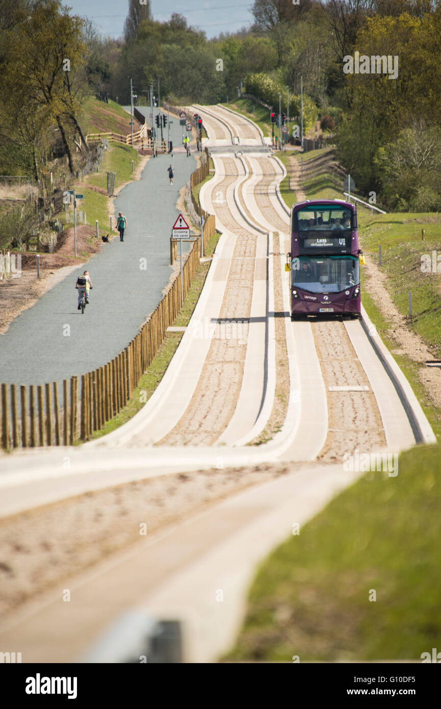 L'approche sur les nouveaux bus mauve busway dédié, Green grass point, béton busway guidé, piétons, dogwalker Banque D'Images