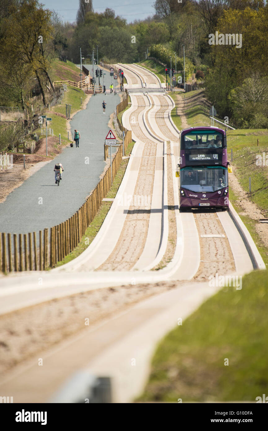 L'approche sur les nouveaux bus mauve busway dédié, Green grass point, béton busway guidé, piétons, dogwalker Banque D'Images