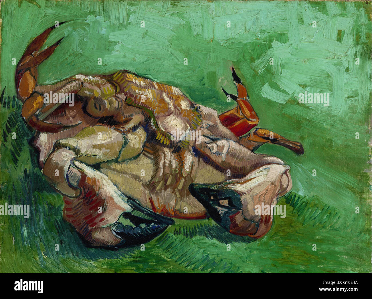 Vincent van Gogh - un crabe sur le dos - Musée Van Gogh, Amsterdam Banque D'Images