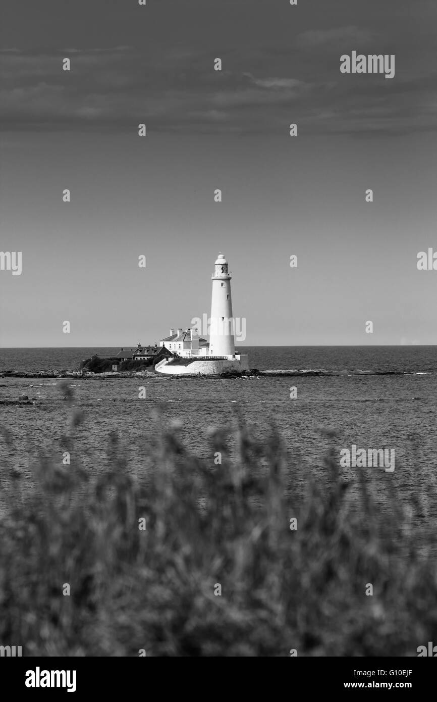 Leuchtturm ay un ciel bleu sur la côte de la mer Banque D'Images