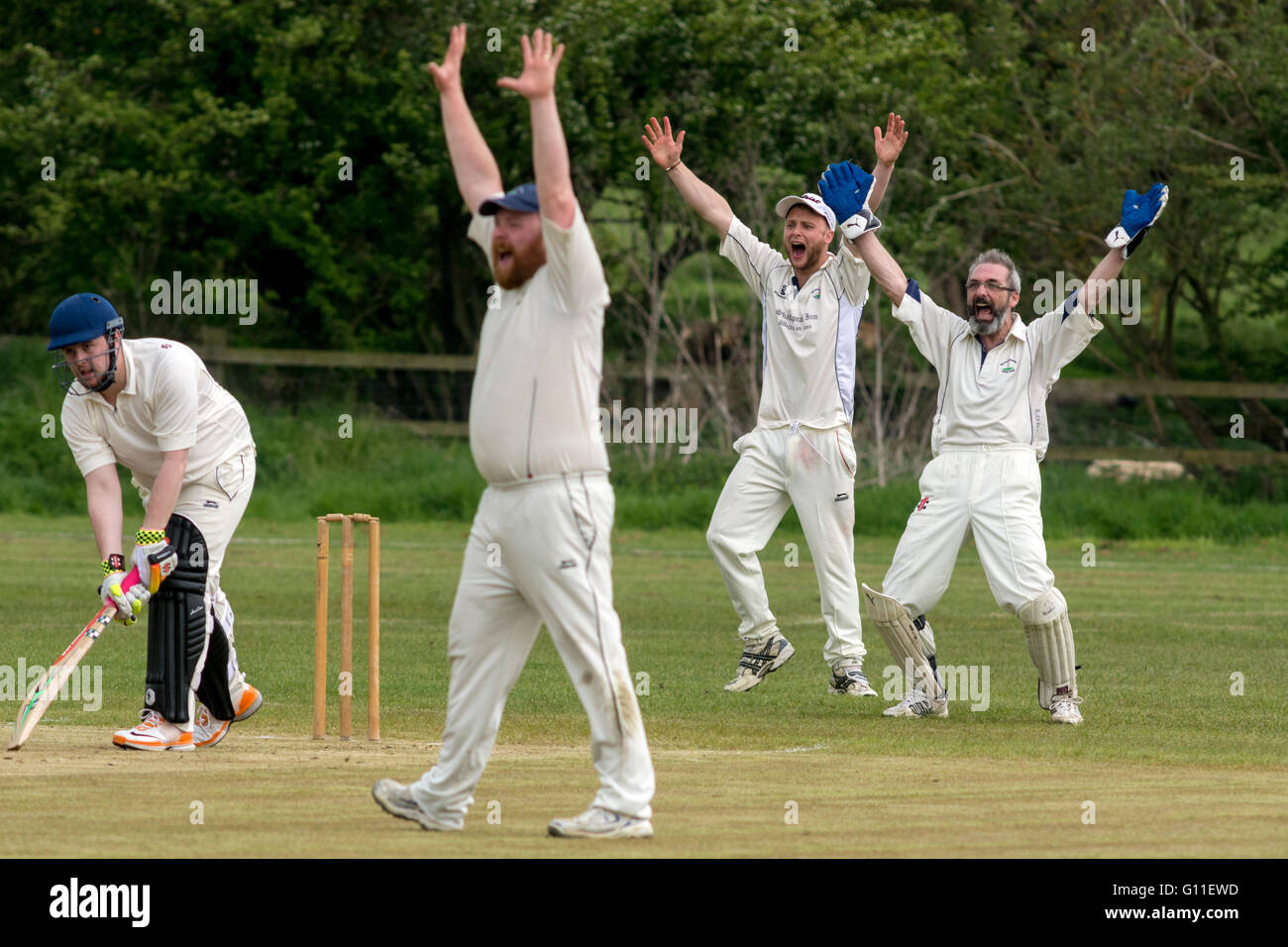 Welford-sur-Avon, dans le Warwickshire, Royaume-Uni. 07Th Mai, 2016. Les joueurs bénéficient de la chaleur du soleil le jour de l'ouverture de la Ligue de cricket de Cotswold Hills. Dans une Division 5 luminaire entre Welford-sur-Avon et Ashton-under-Hill, la maison fielders appel vigoureusement pour un guichet. Crédit : Colin Underhill/Alamy Live News Banque D'Images