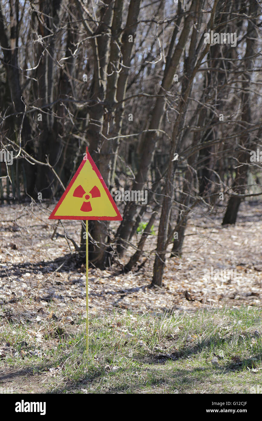 Tchernobyl : sol fortement contaminé près de l'ancien village Kopacze Banque D'Images