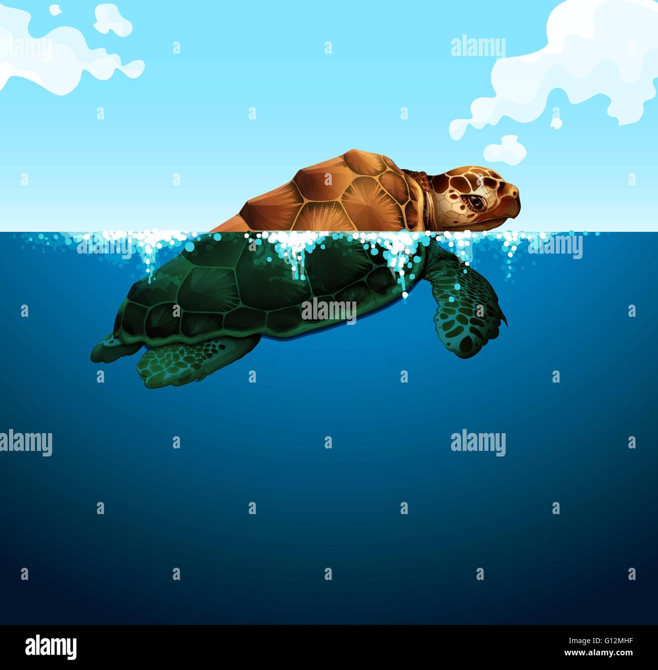 Une tortue dans l'océan illustration Illustration de Vecteur