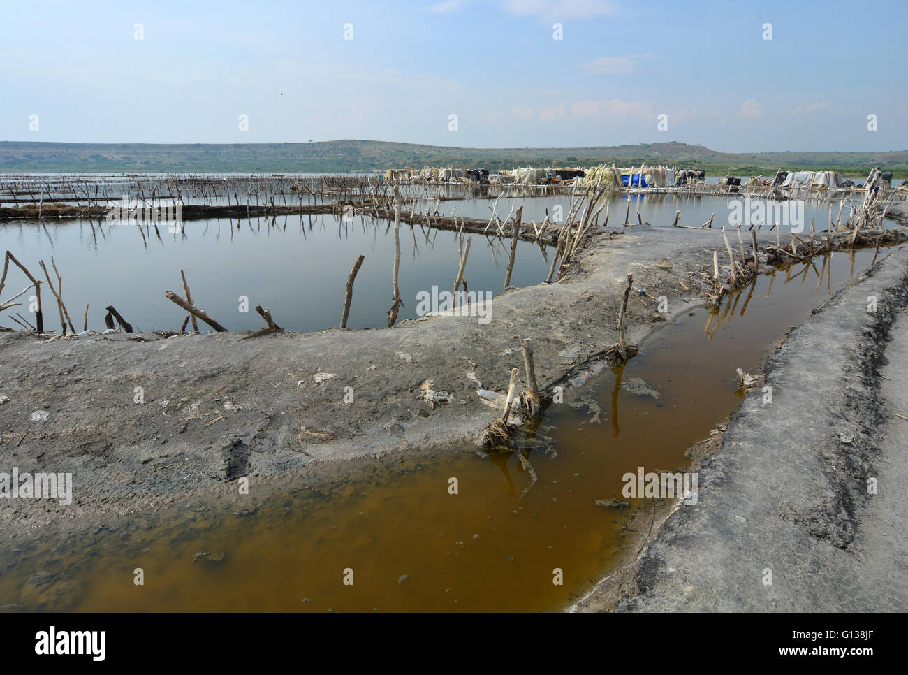 L'exploitation minière du sel sur le lac Katwe. Banque D'Images