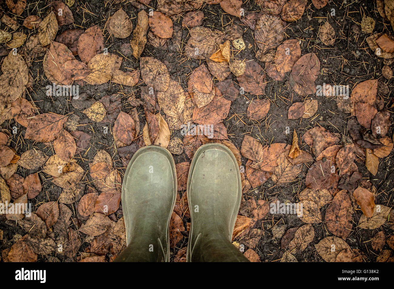Bottes Wellington vert sur une feuille d'automne humide, couverts de plancher bois Banque D'Images