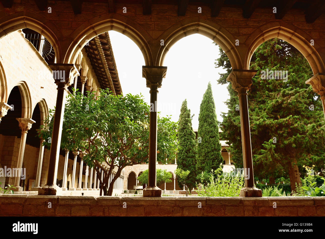 Cloître gothique du Monastère de Pedralbes à Barcelone, Catalogne, Espagne, Europe Banque D'Images