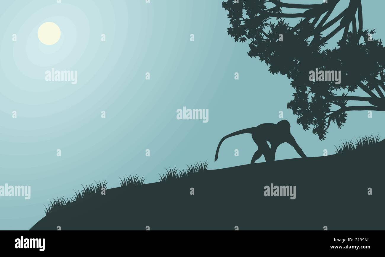 Monkey silhouette dans les collines Illustration de Vecteur