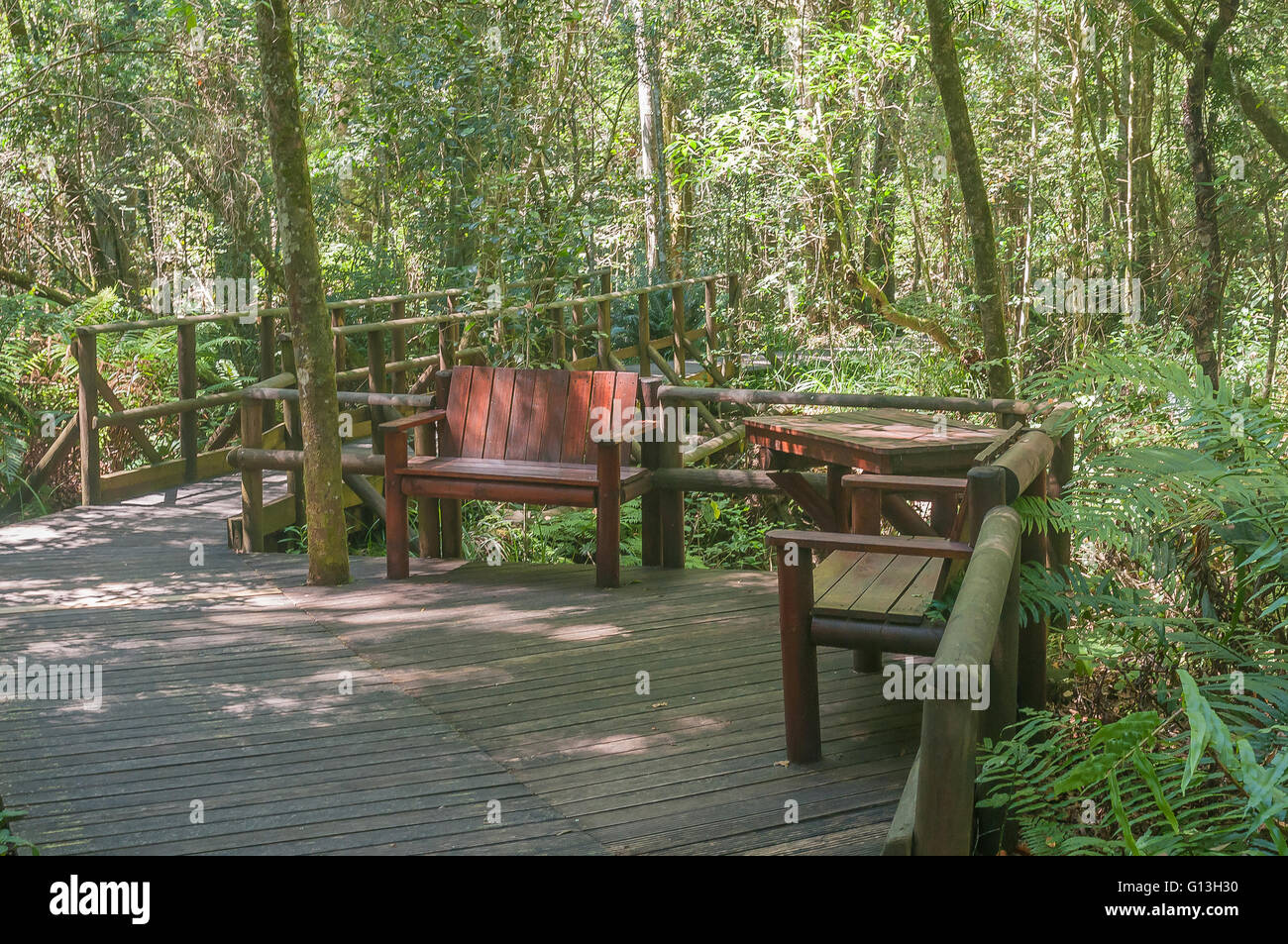 Un coin rustique au jardin d'Eden, un réseau de sentiers de promenade à travers la forêt Tsitsikama Banque D'Images