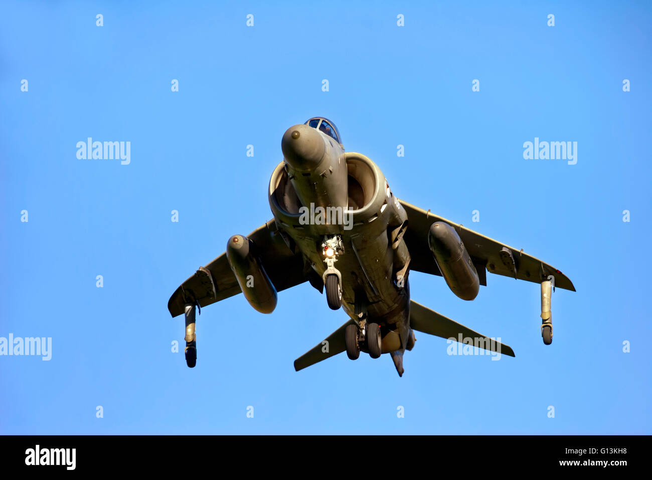 La Royal Navy Fleet Air Arm British Aerospace Sea Harrier F/A.2 XZ440 009 (cn 41H-912003) de 801NAS à Yeovilton, Somerset. Banque D'Images