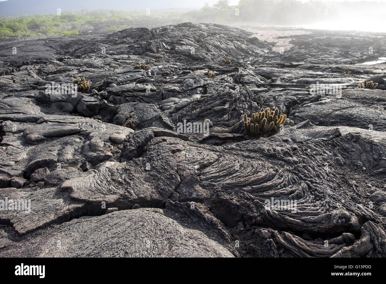Des formations de roche de lave en Îles Galápagos Banque D'Images
