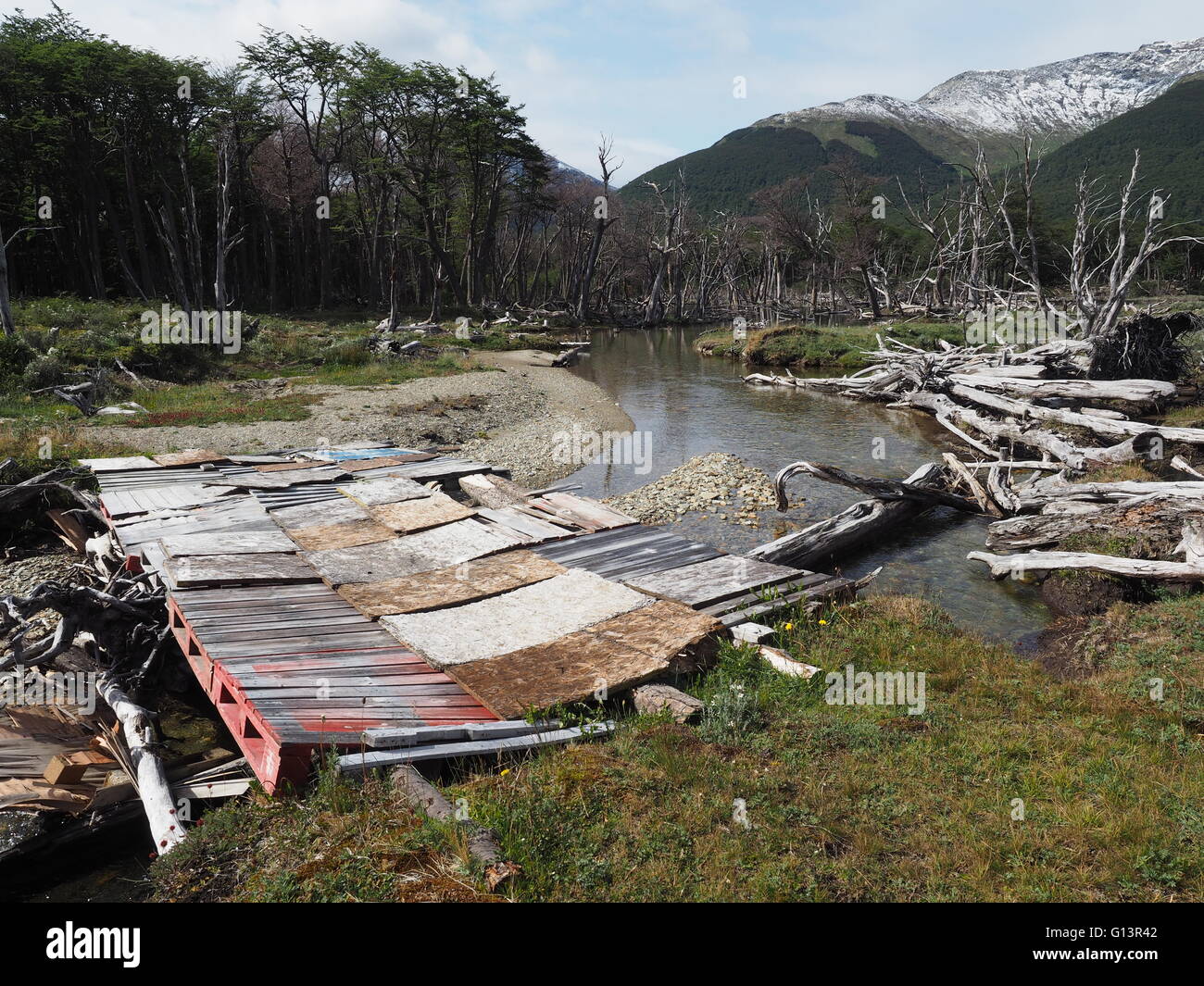 Un pont de fortune à travers un ruisseau dans la Tierra Mayor Parc Naturel, avec une forêt sub-antarctiques et l'Alvear Mountians. Banque D'Images