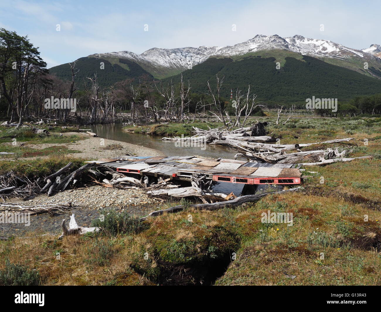 Un pont de fortune à travers un ruisseau dans la Tierra Mayor Parc Naturel, avec une forêt sub-antarctiques et l'Alvear Mountians. Banque D'Images