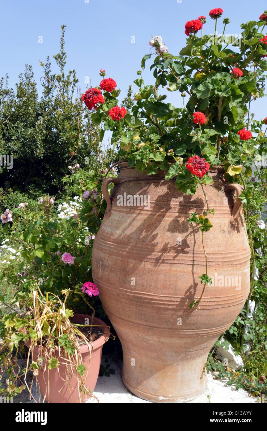 Les grandes amphores et petit vase avec fleurs rouge sur un mur de pierre. Banque D'Images