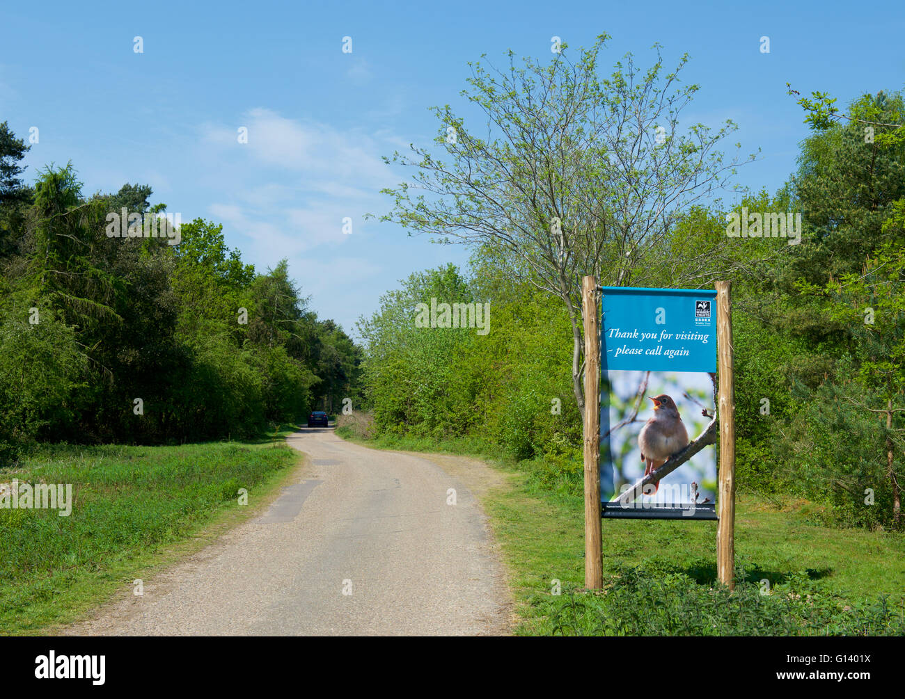 Route de Fingringhoe Wick, une réserve naturelle de fiducie de la faune d'Essex près de Colchester, Essex, Angleterre, Royaume-Uni Banque D'Images