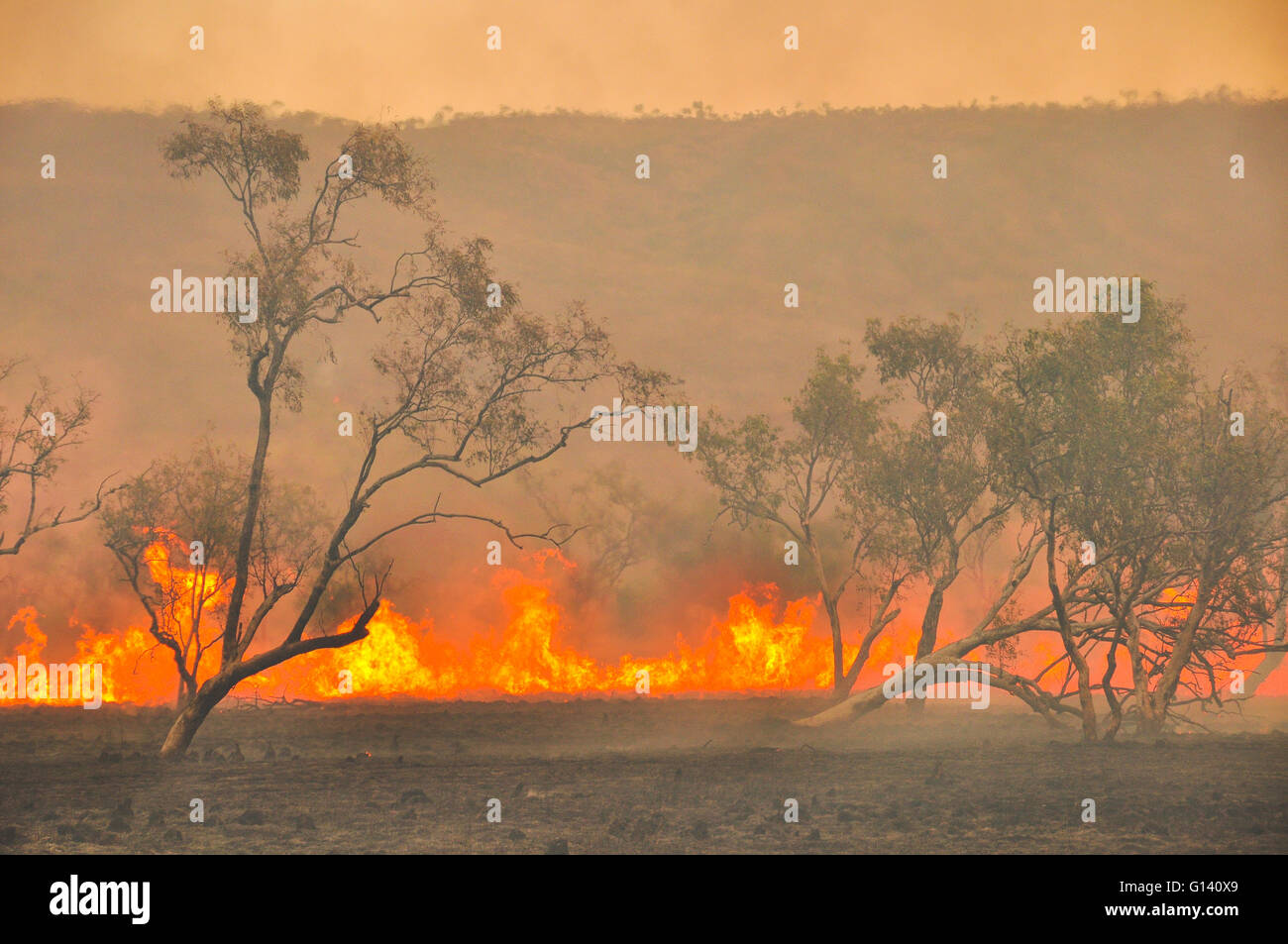 Outback australien, les feux de brousse Banque D'Images