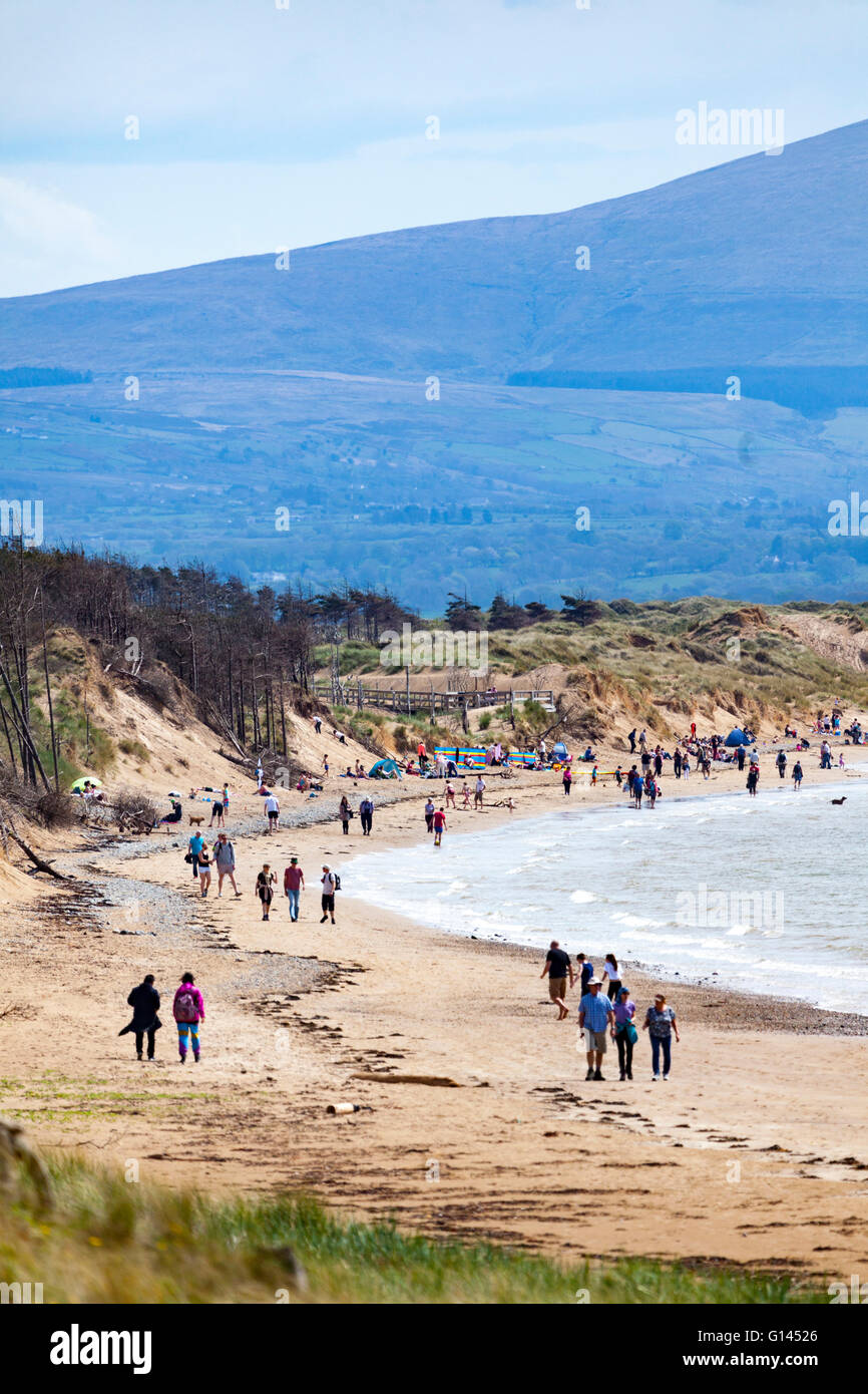 Anglesey, au nord du Pays de Galles, Royaume-Uni. 8e mai 2016. Météo Royaume-uni UK- La température reste élevée avec la journée la plus chaude de l'année jusqu'à présent. Les amateurs de plage profitant de la journée la plus chaude de l'année tant qu'ils s'en vont vers la plage de Newborough Banque D'Images