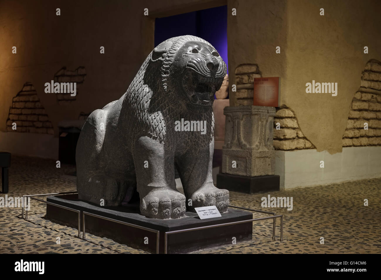 Hatay, Turquie - 21 Avril 2016 : Nouveau Musée d'Archéologie de Hatay, Turquie. Statue de lion rugissant. Banque D'Images