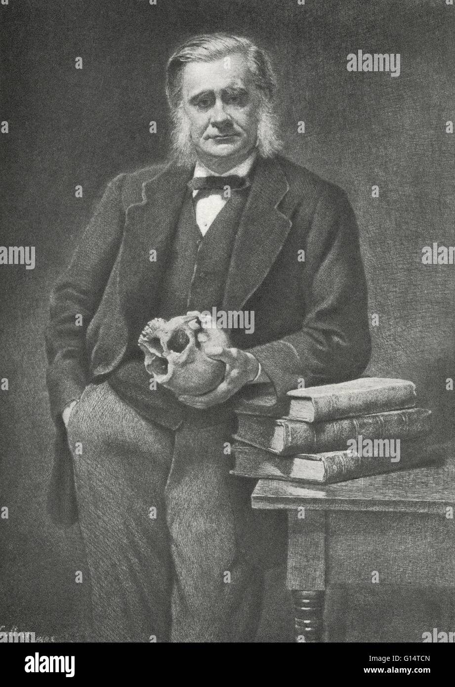 Thomas Henry Huxley (1825-1895) était un biologiste anglais, connu sous le nom de 'Darwin's' pour sa défense de Charles la théorie de l'évolution de Darwin. Huxley's célèbre 1860 Débat avec Samuel Wilberforce a été un moment clé de l'acceptation plus large de l'évolution, et Banque D'Images