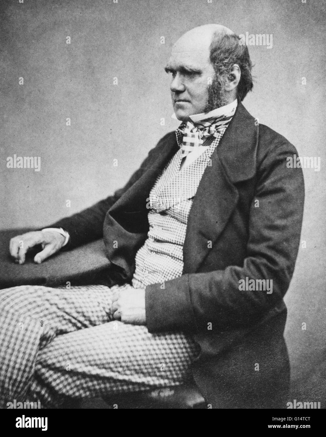 Charles Robert Darwin (1809-1882) était un naturaliste anglais. Il a établi que toutes les espèces de vie sont descendus dans le temps d'origine commune, et a proposé la théorie scientifique que cette évolution résulte de la ramification d'un processus qu'il Banque D'Images