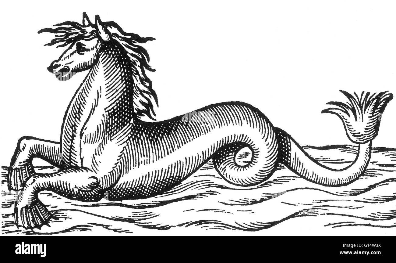 Gravure sur bois d'un 'mer' de cheval Des Monstres et prodiges d'Ambroise Paré, 1573. Des monstres est rempli avec des comptes du sea devils, truies, marine et d'animaux monstrueux avec des visages humains. Fort de son analyse de la reproduction et illus Banque D'Images