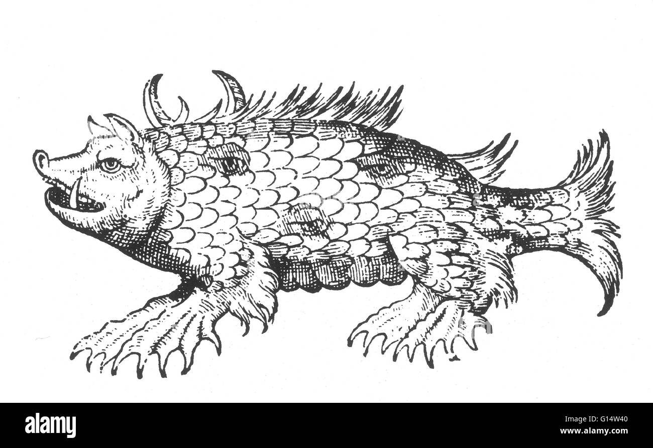 Gravure sur bois d'un 'marine' de semer des monstres et prodiges d'Ambroise Paré, 1573. Des monstres est rempli avec des comptes du sea devils, truies, marine et d'animaux monstrueux avec des visages humains. Fort de son analyse de la reproduction et illu Banque D'Images
