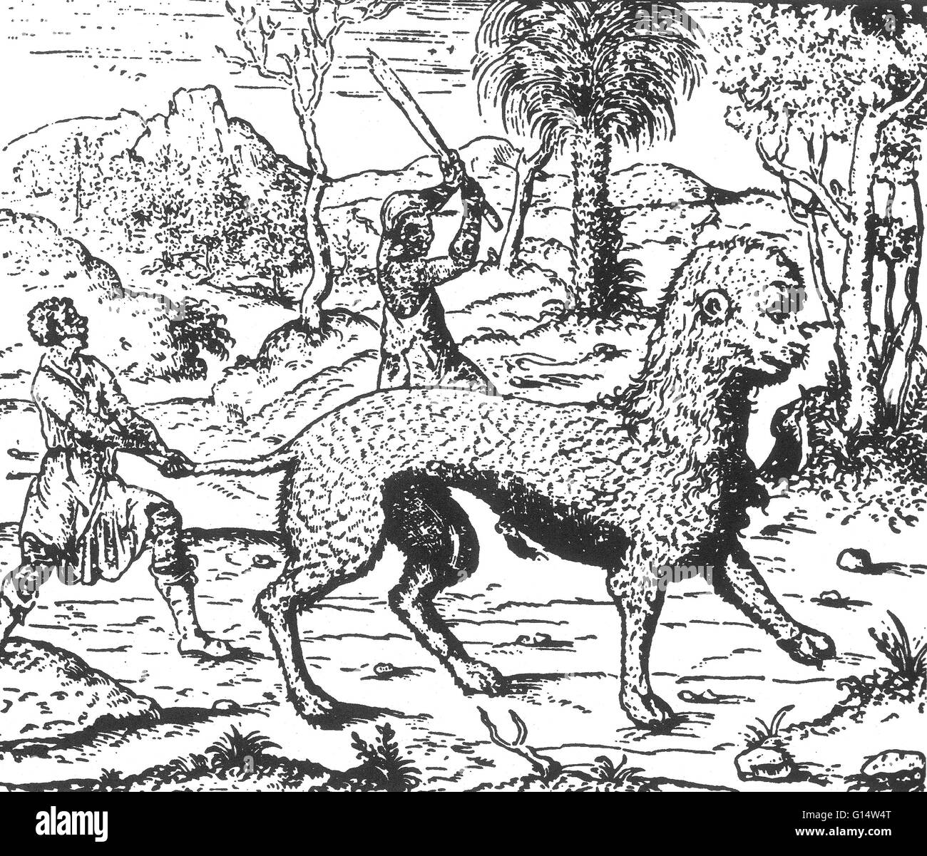 Gravure sur bois d'un animal appelé 'Huspalim' de des monstres et prodiges d'Ambroise Paré, 1573. Des monstres est rempli avec des comptes du sea devils, truies, marine et d'animaux monstrueux avec des visages humains. Fort de son examen de procréer Banque D'Images