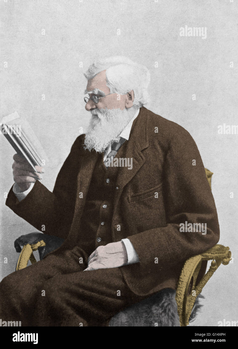 Alfred Russel Wallace (1823-1913) était un naturaliste, géographe, explorateur, anthropologue et biologiste. Il est surtout connu pour proposer de façon indépendante une théorie de l'évolution due à la sélection naturelle qui a poussé Charles Darwin à publier son propre l'outilou Banque D'Images