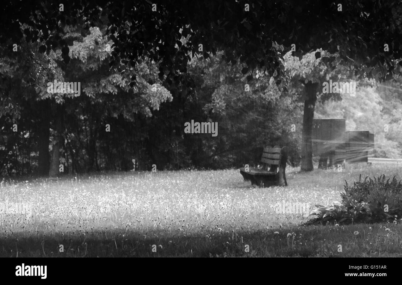 Vue sur le banc d'un parc sous la pluie à Toronto , Canada Banque D'Images