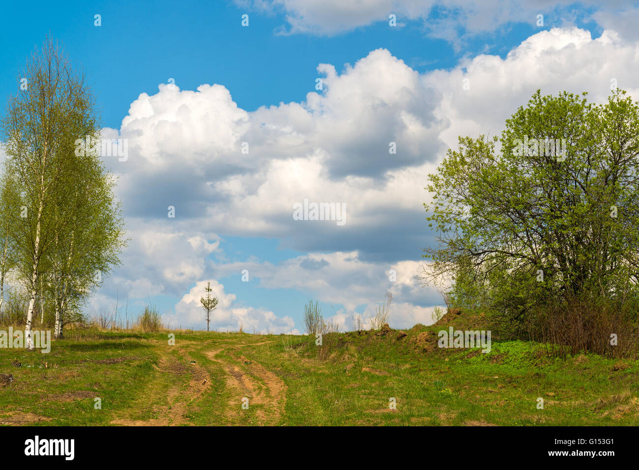 Au début du printemps paysage naturel Banque D'Images