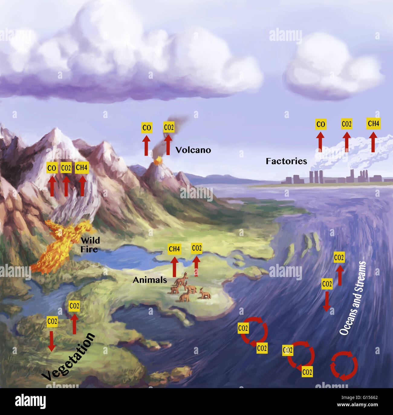 Le cycle du carbone décrit le mouvement du carbone qu'il est recyclé et réutilisé dans toute la biosphère. Les molécules à base de carbone sont cruciales à la vie sur terre. Dans l'atmosphère, le carbone se combine avec deux atomes d'oxygène, ce qui en fait une molécule appelée dioxid de carbone Banque D'Images
