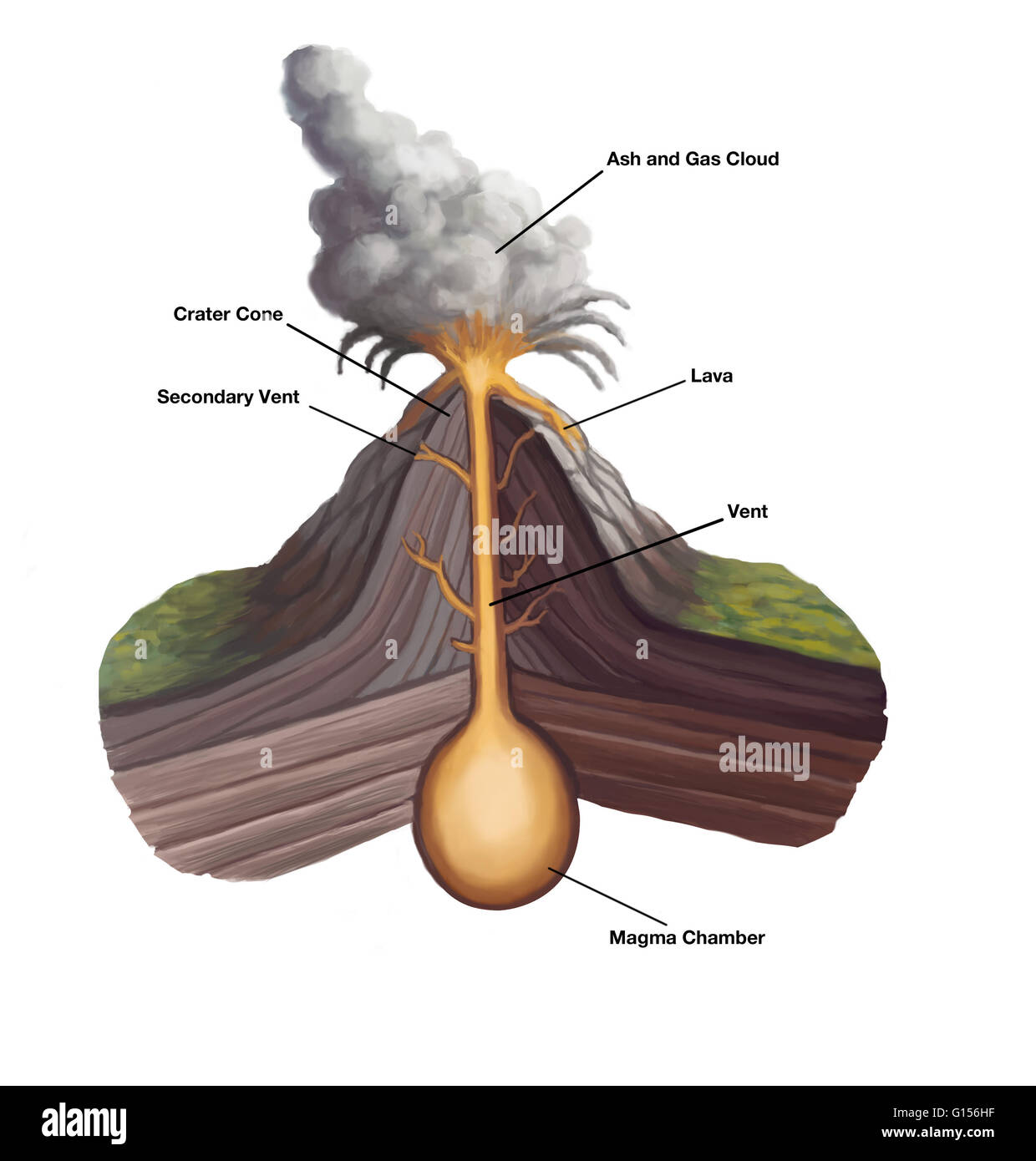 Illustration de la structure volcanique. Un volcan est une ouverture dans une croûte de la planète qui permet aux cendres volcaniques, magma chaud, et l'échappement des gaz de la chambre de magma sous la surface. Au sommet du volcan comme matériaux, de cendres, de lave et d'autres pyroclas Banque D'Images