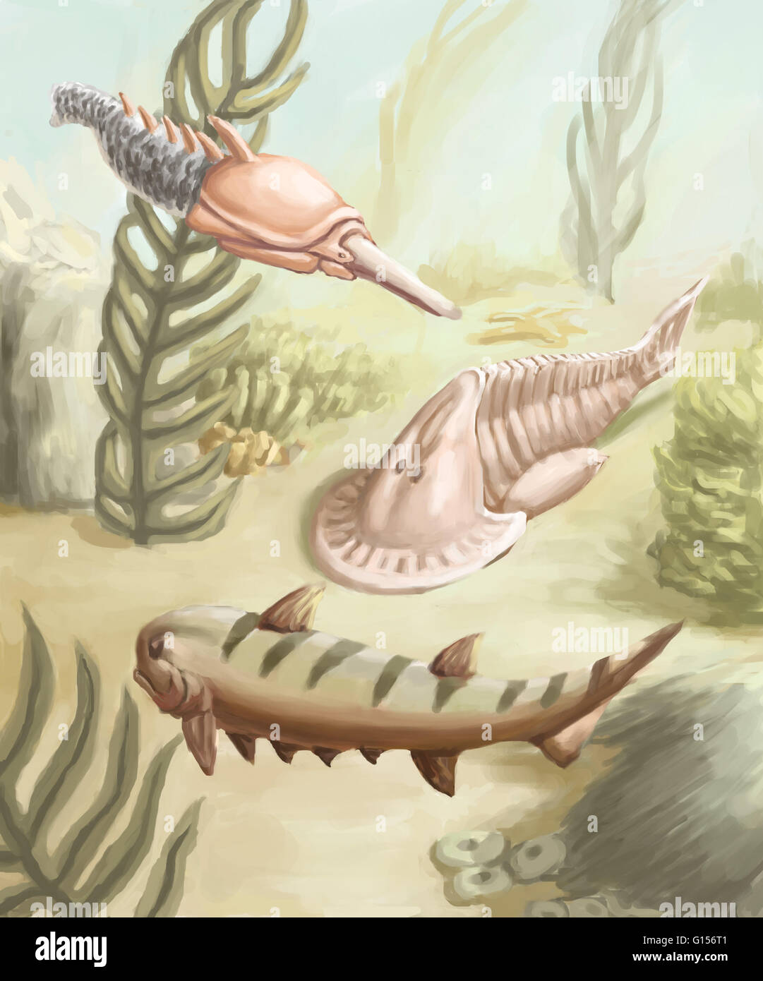 La préhistoire de la vie marine. Les ostracodermes (à peau 'shell') étaient les poissons sans mâchoire blindé comme pteraspis. Les Placodermes (plaque), à la peau et climatius hemicyclaspis ont été parmi les premiers poissons blindés. Banque D'Images