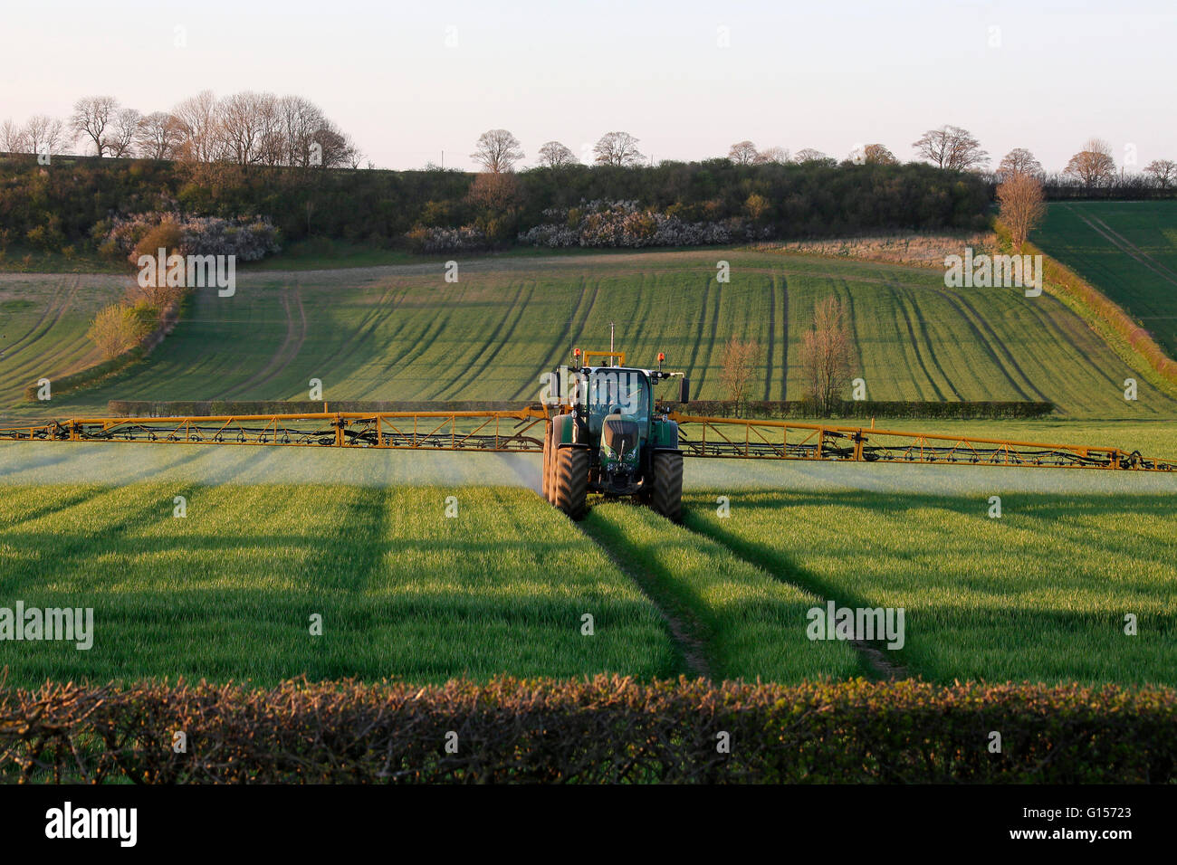 Agriculture - Un agriculteur la pulvérisation d'engrais sur ses cultures - North Yorkshire - Angleterre. Banque D'Images