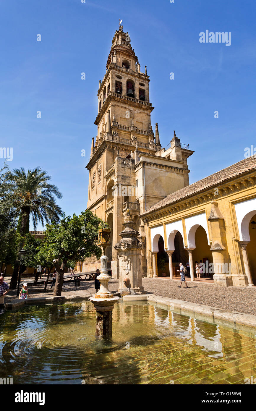 Le Clocher vu à travers une fontaine dans la cour des orangers de la Mosque-Cathedral de Cordoue, Espagne Banque D'Images