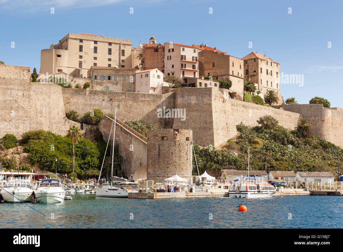 La Citadelle, Calvi, Haute-Corse, Corse, France Banque D'Images
