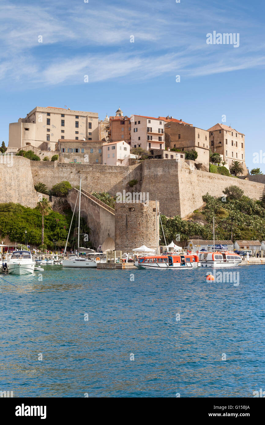 La Citadelle, Calvi, Haute-Corse, Corse, France Banque D'Images
