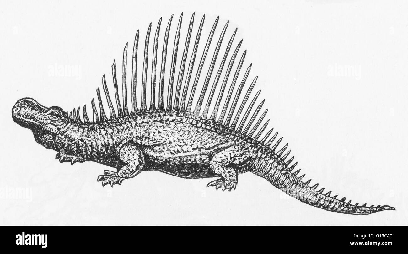 Illustration d'un dinosaure. Banque D'Images