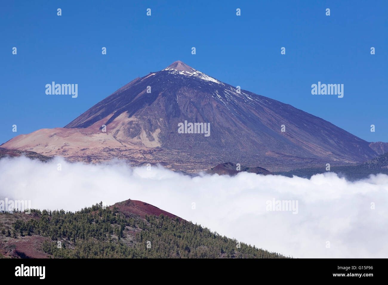 Pico del Teide, Parc National du Teide, UNESCO World Heritage Site Naturel, Tenerife, Canaries, Espagne, Europe Banque D'Images