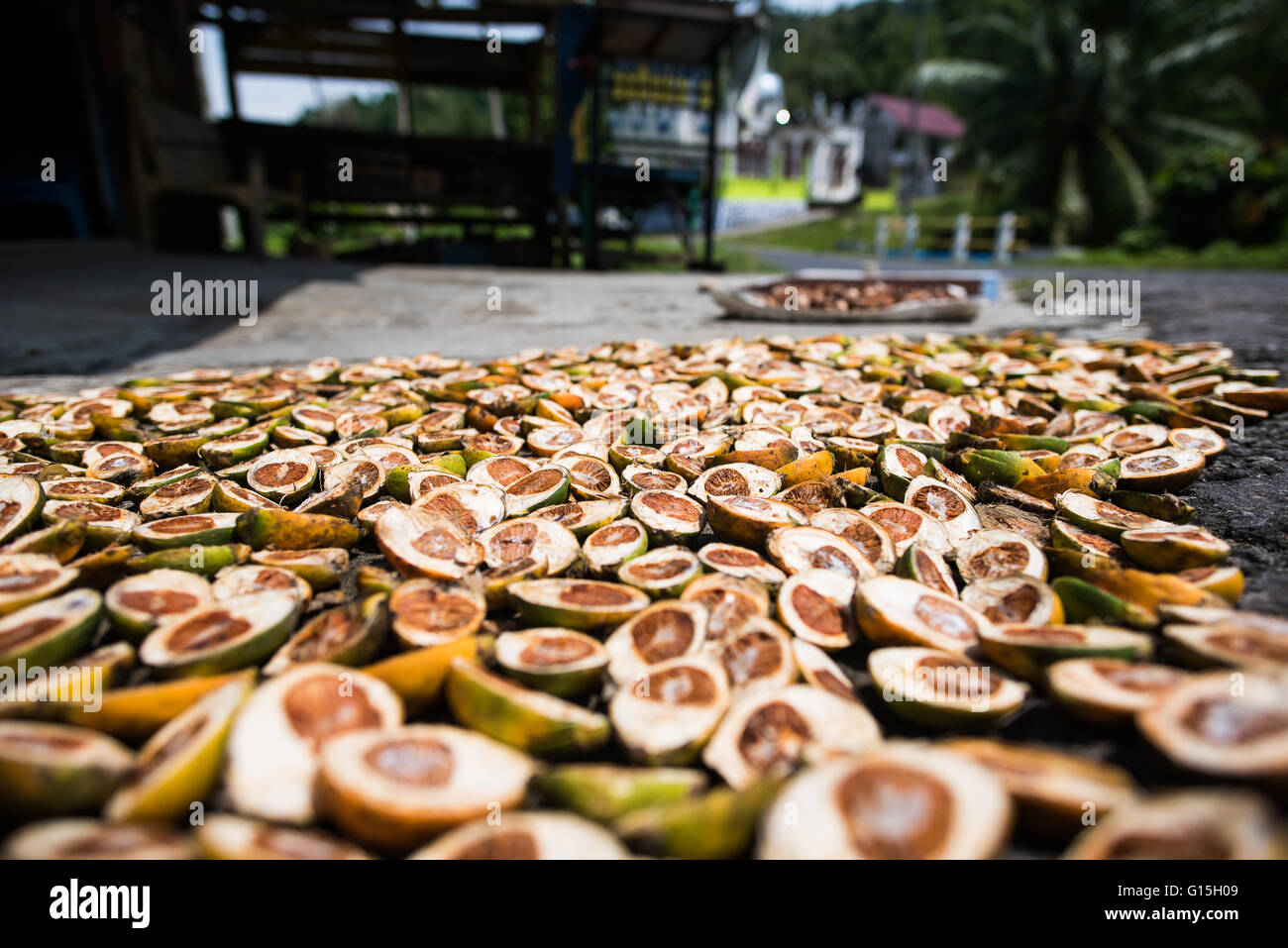 Noix de bétel vendu en Pulua Weh, Sumatra, Indonésie, Asie du sud-est Banque D'Images