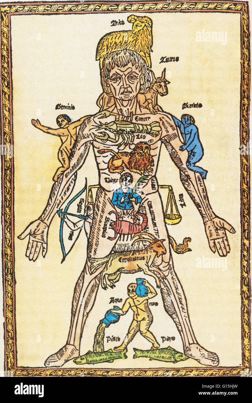 Melothesic la figure, à partir d'un 16e siècle Shepherd's calendar. L'Melothesia est une discipline qui étudie les liens existant entre les signes du zodiaque, les planètes, le soleil, la lune, et le corps humain. Le zodiac a été pensé pour exercer une influence Banque D'Images