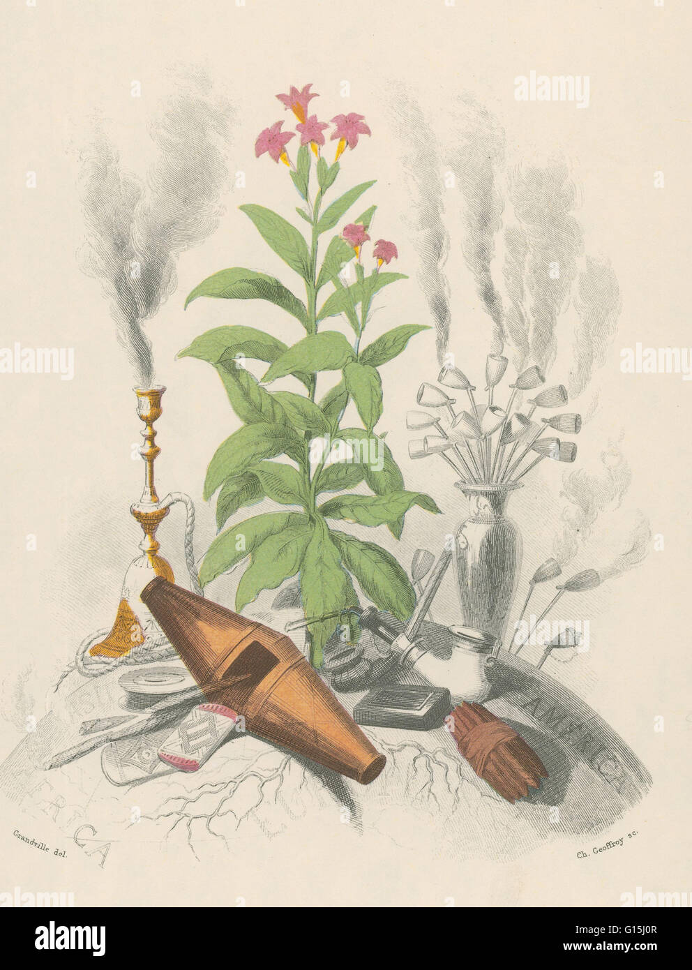 Tabac, tabac, dessiné par J.J. Grandville au début des années 1800. Le tabac est un produit agricole transformé à partir de les feuilles des plantes du genre Nicotiana. Il peut être consommé, utilisé comme pesticide biologique et, dans la forme de nicotine tartrate, utilisé Banque D'Images