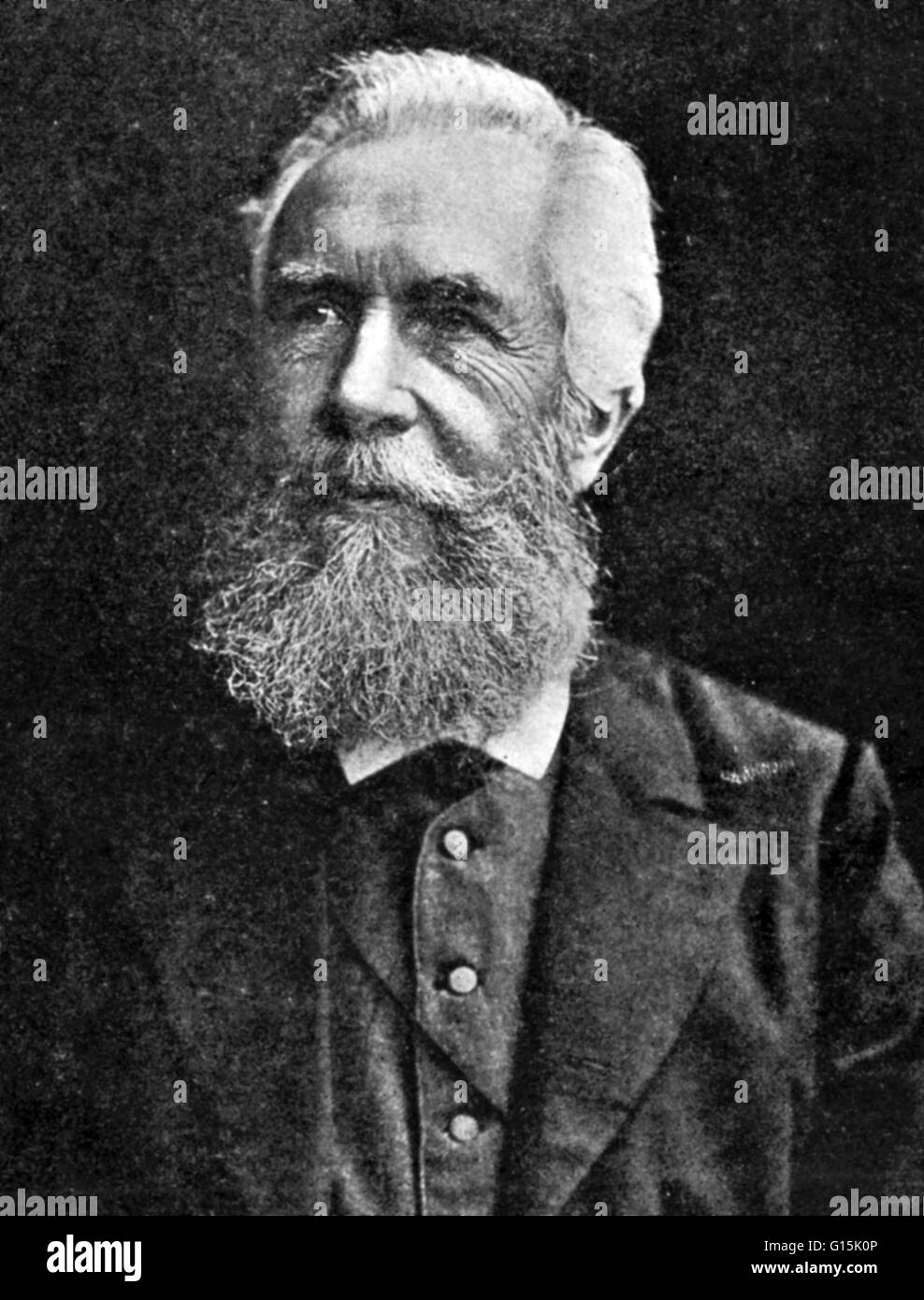 Ernst Heinrich Philipp August Haeckel (1834-1919) était un éminent biologiste allemand, naturaliste, médecin, philosophe, professeur et l'artiste qui a découvert, décrit et nommé des milliers de nouvelles espèces, cartographié un arbre généalogique concernant toutes les formes de vie, un Banque D'Images